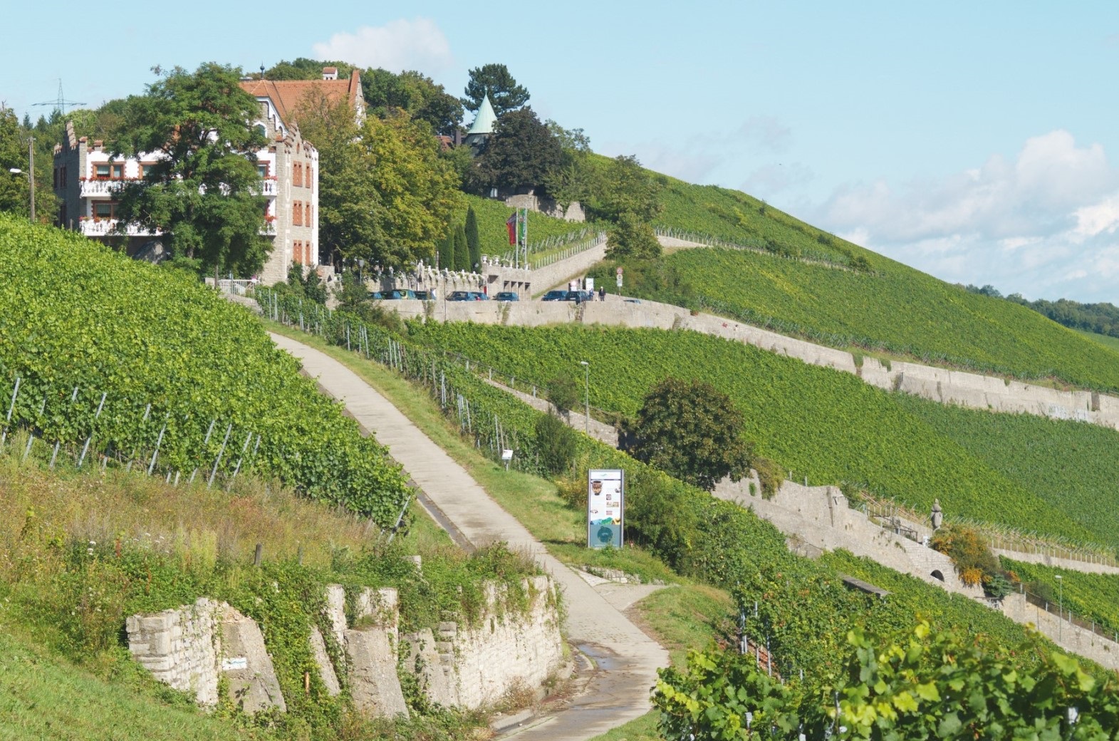 Würzburger Stein